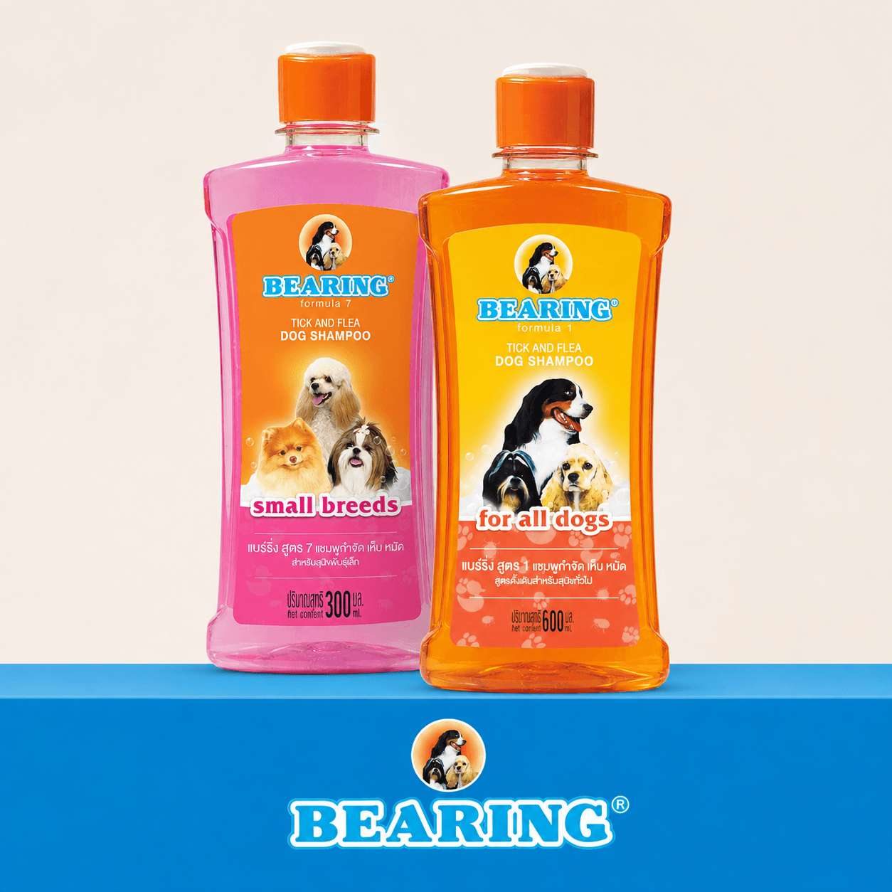 Bearing
