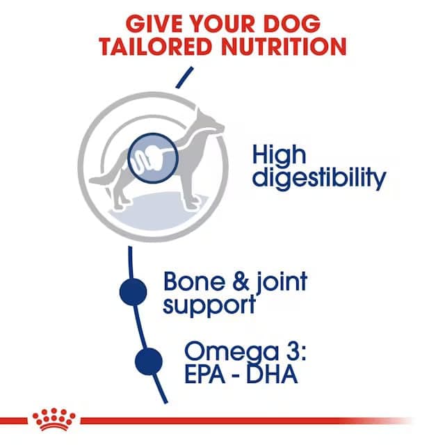 Royal Canin Maxi Adult Large Breed Dry Dog Food view 5