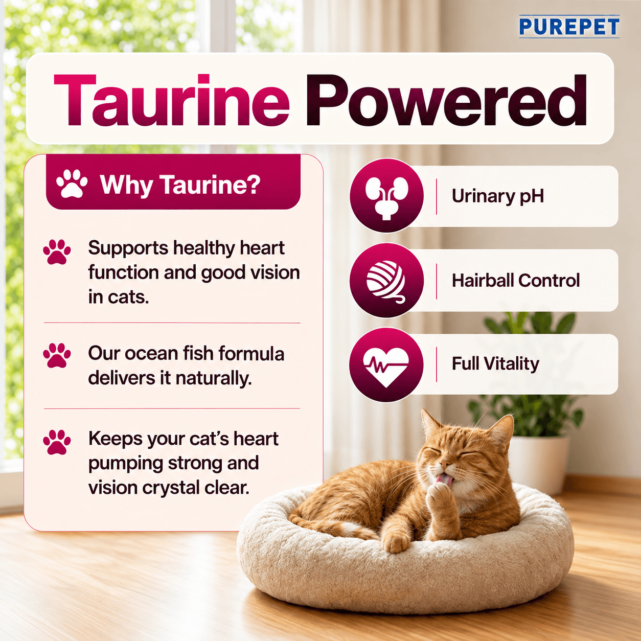 Purepet Tuna & Salmon Adult Dry Cat Food – 7kg view 4