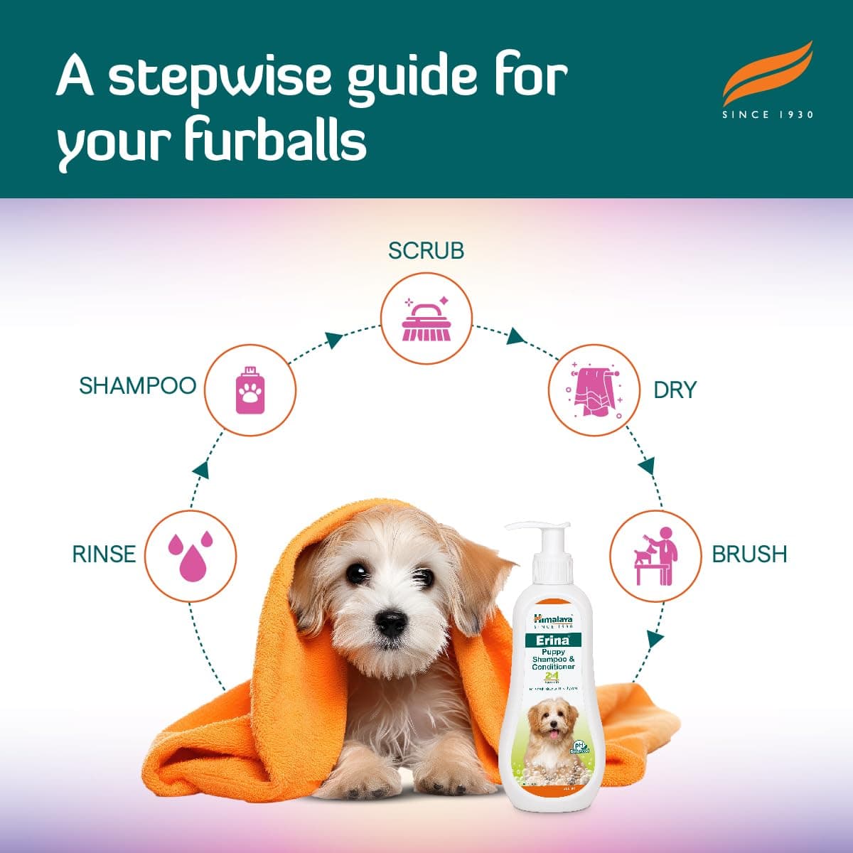 Himalaya Erina Puppy Shampoo & Conditioner 2-in-1 view 4