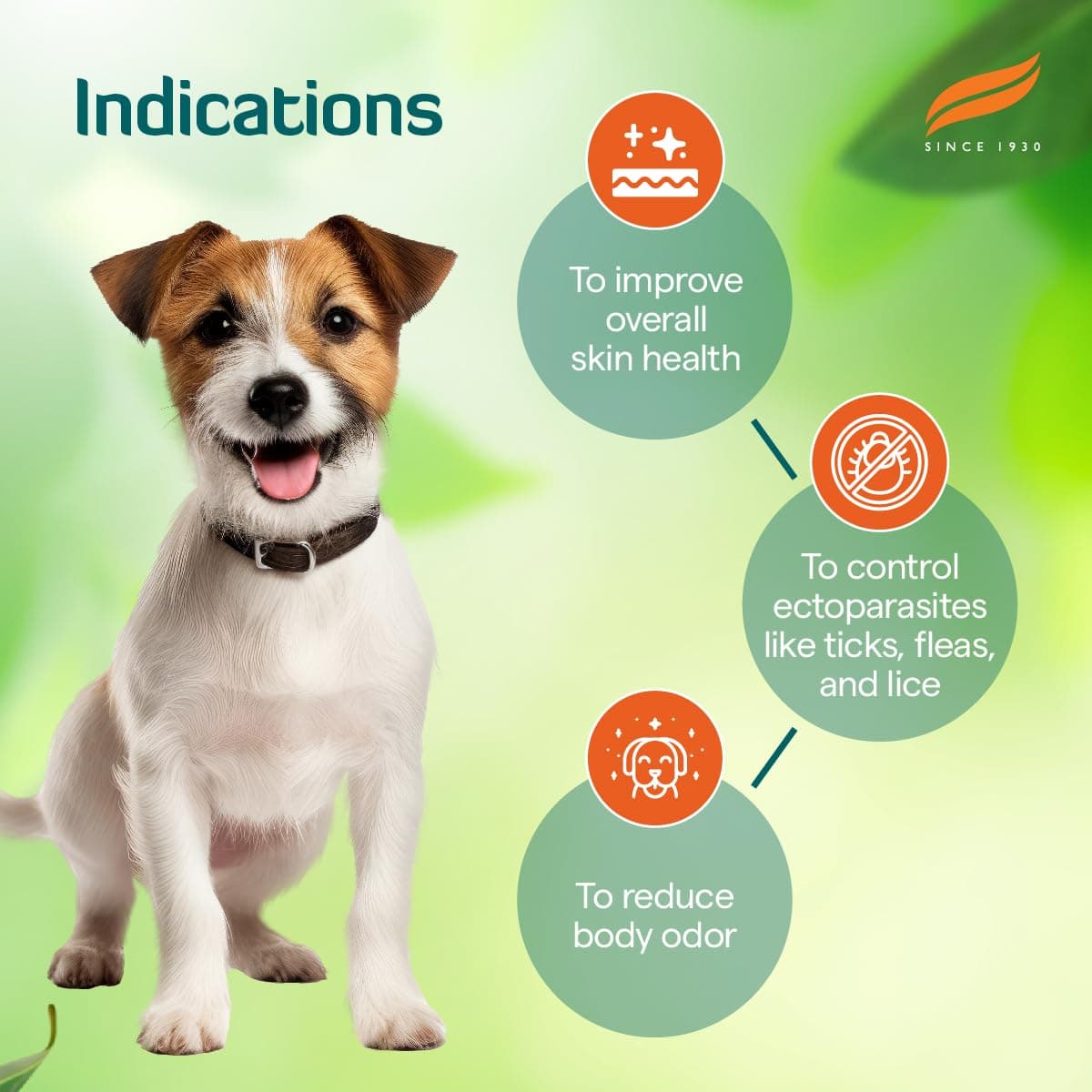 Himalaya Erina-EP Tick, Flea & Lice Control Powder for Pets view 5