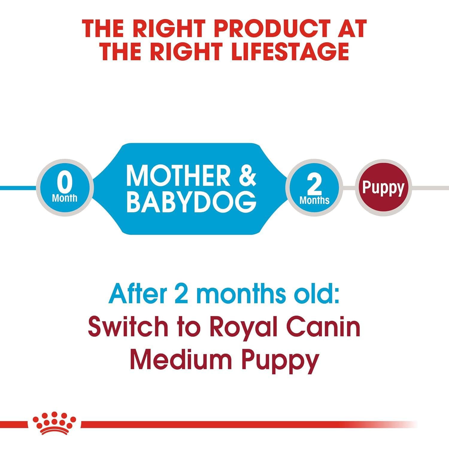 Royal Canin Medium Starter Mother & Babydog Dry Dog Food view 3