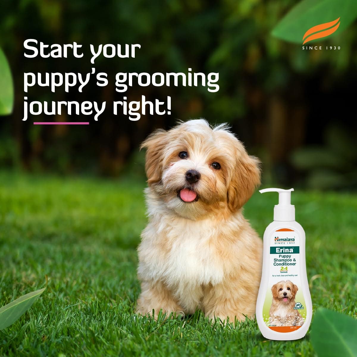 Himalaya Erina Puppy Shampoo & Conditioner 2-in-1 view 3
