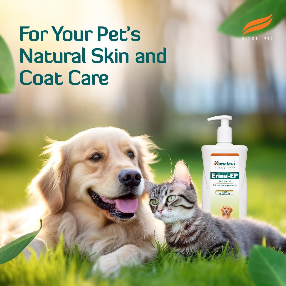 Himalaya Erina-EP Tick & Flea Management Pet Shampoo view 7