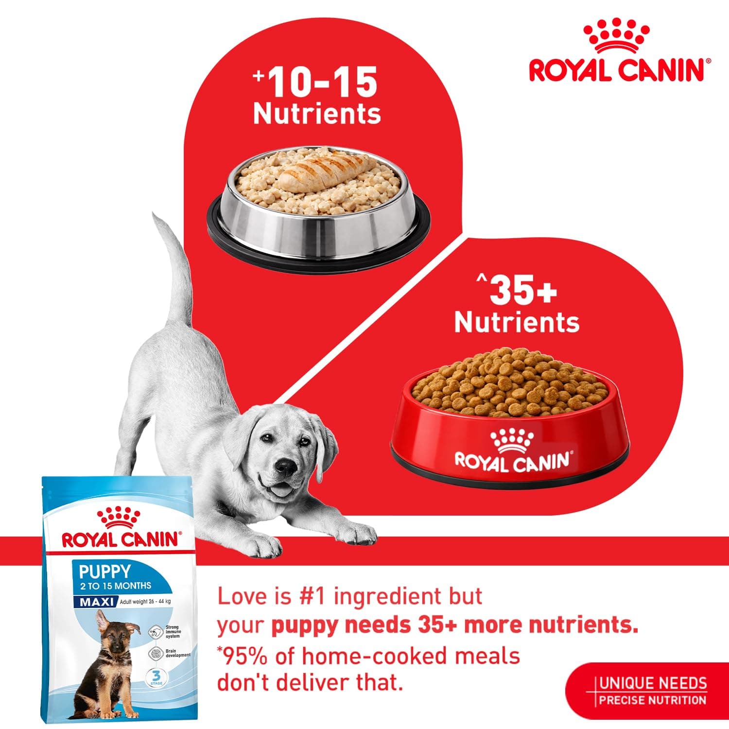 Royal Canin Maxi Puppy Dry Dog Food view 3