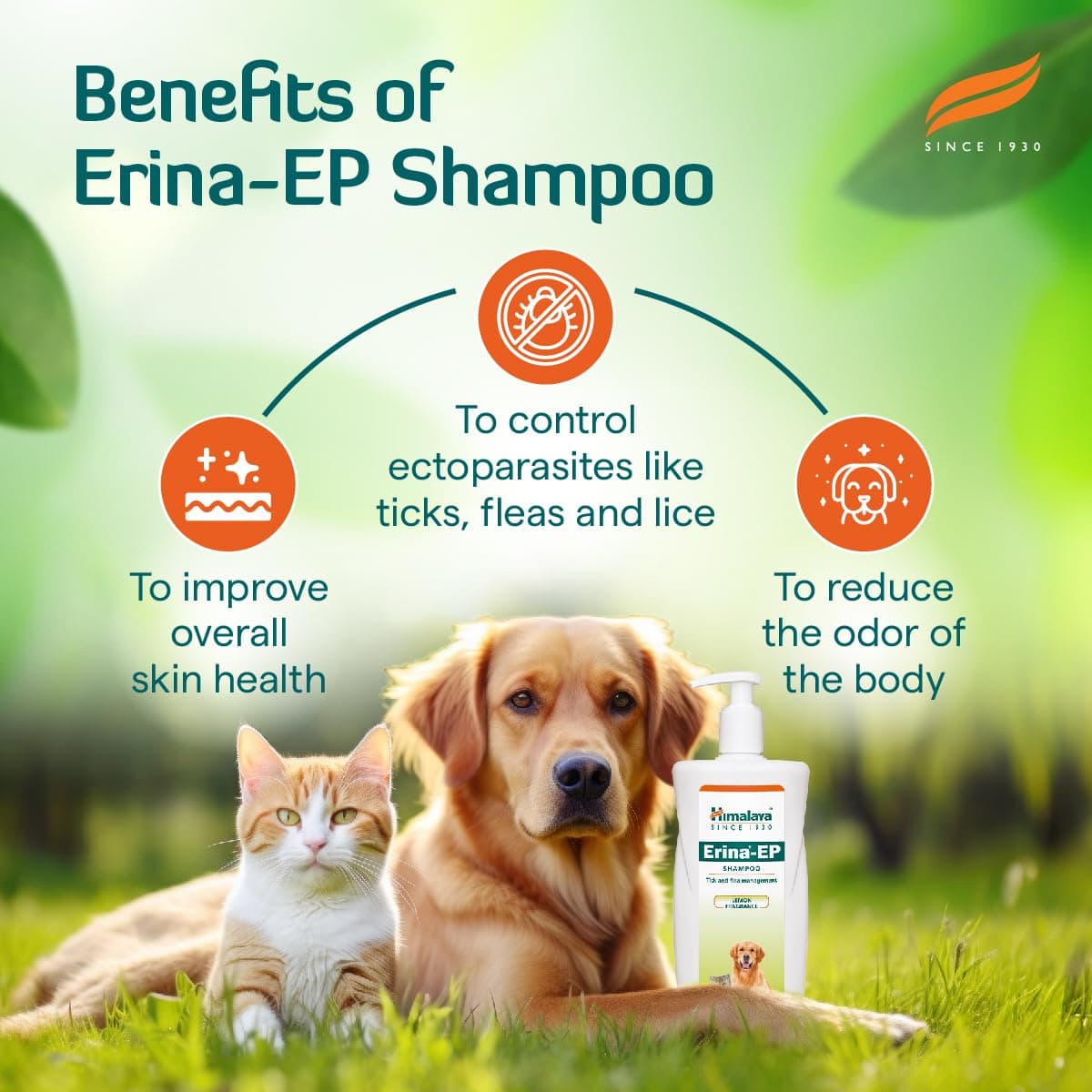 Himalaya Erina-EP Tick & Flea Management Pet Shampoo view 8