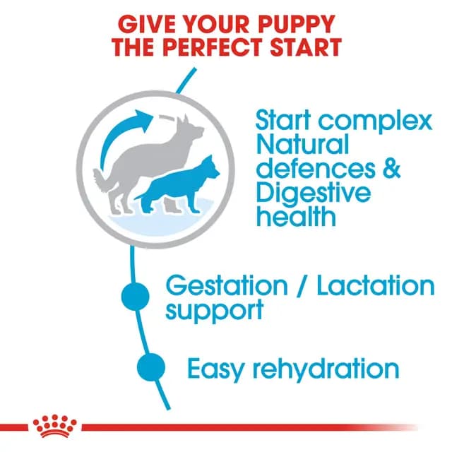 Royal Canin Maxi Starter Mother & Babydog Large Breed Dry Dog Food view 2
