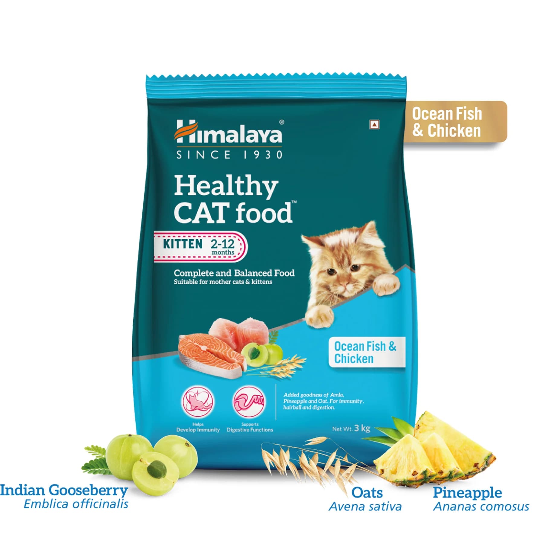 Himalaya Healthy Cat Food Kitten – Ocean Fish & Chicken