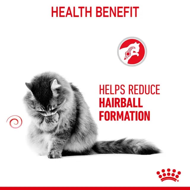 Royal Canin Hairball Care Adult Dry Cat Food view 6