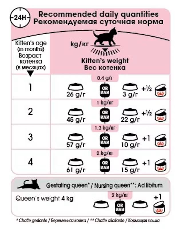 Royal Canin Mother & Babycat Dry Cat Food view 3