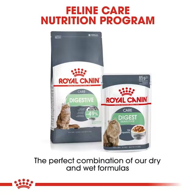 Royal Canin Digestive Care Adult Dry Cat Food view 4