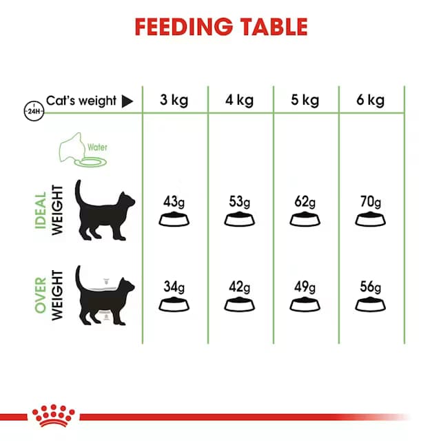 Royal Canin Digestive Care Adult Dry Cat Food view 5