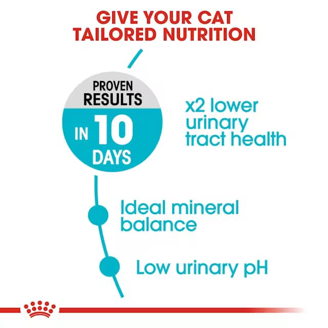 Royal Canin Urinary Care Adult Dry Cat Food view 2