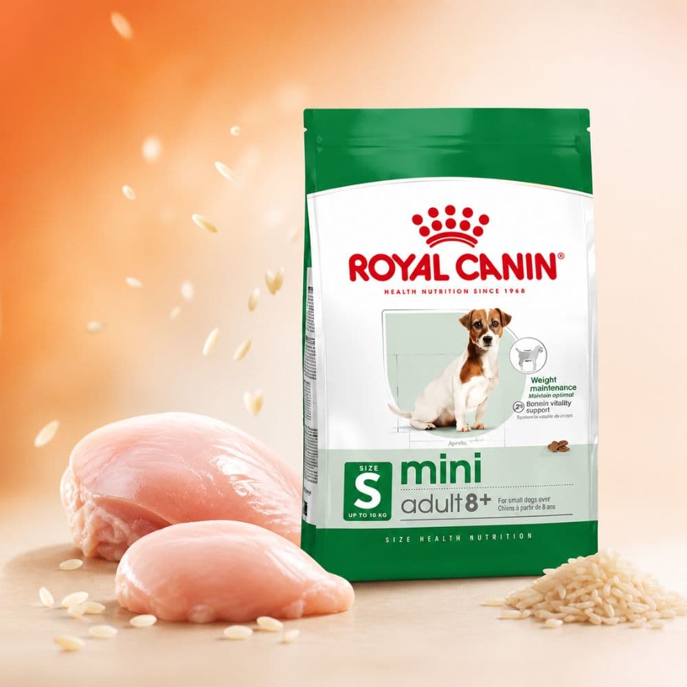 Royal Canin Mini Adult 8+ Dog Food 800g Nepal | Small Breed Senior Dog Food Kathmandu